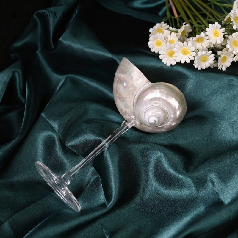 ライトラグジュアリー貝殻シャンパンフルートグラス - 家庭用 - Lighting Glass Photography のレビューと価格
