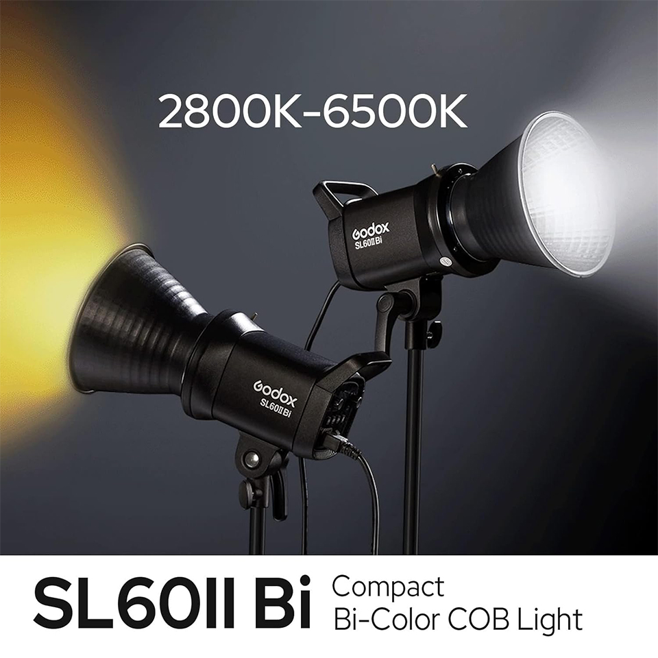 Godox SL60IID SL60IIBi 75W デイラ - Photography Lighting Grid のレビューと価格