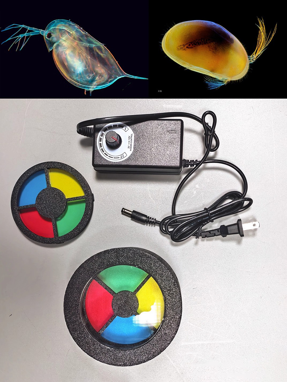 暗視野マクロフラッシュ（マイクロ写真用） - 半透明被写体用 - Photography Lighting Diy のレビューと価格